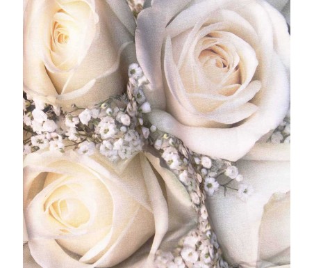 Acquista online su Casabiancheria le federe per guanciale Alpen. Sconto 10% se ti registri e consegna in sole 24/48 ore!