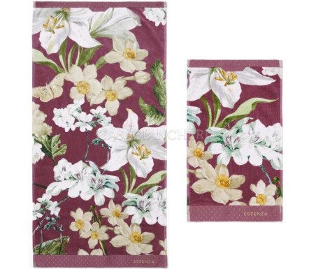 Casabiancheria.it | Coppia asciugamani di spugna Essenza Home Rosalee asciugamani in spugna amazon