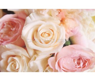 Casabiancheria.it | Federa per guanciale a stampa digitale Rosalba federe per cuscini letto 2