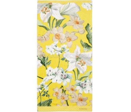 Casabiancheria.it | Coppia asciugamani di spugna Essenza Home Rosalee asciugamani in spugna amazon