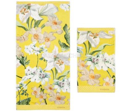 Casabiancheria.it | Coppia asciugamani di spugna Essenza Home Rosalee asciugamani in spugna amazon