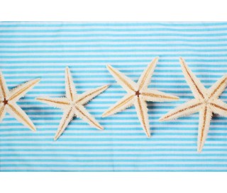 Casabiancheria.it | Federa per guanciale a stampa digitale Maristella federe per cuscini letto 2