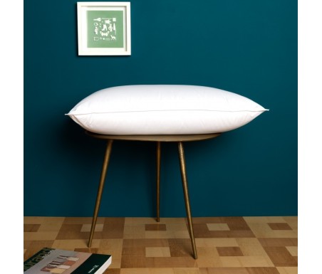 Guanciale Extra in pura piuma d\'oca- CASABIANCHERIA