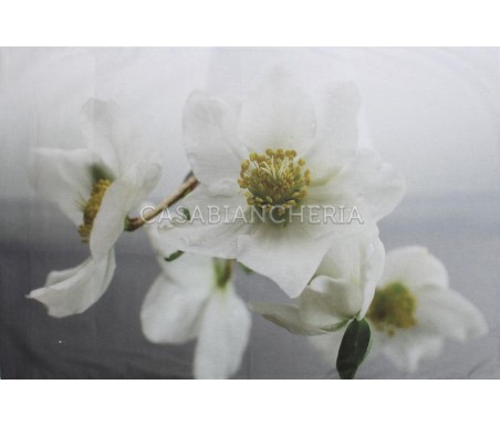 Casa Biancheria | Federa per guanciale a stampa digitale Splendore federe cuscini letto  amazon