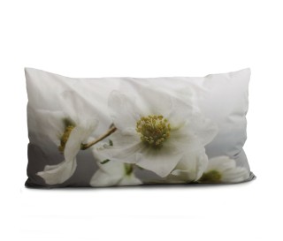 Casa Biancheria | Federa per guanciale a stampa digitale Splendore federe cuscini letto  amazon