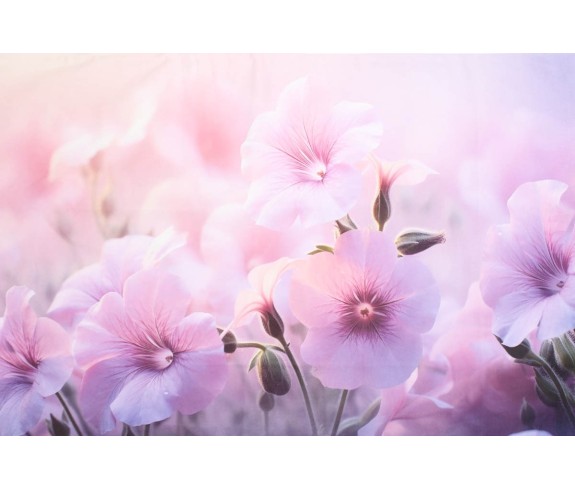 Casabiancheria.it | Federa per guanciale a stampa digitale Campanule federe per cuscini letto