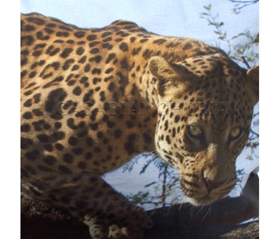 Copripiumino Leopardo a stampa digitlale - Sconti su Casabiancheria