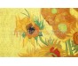 Casabiancheria | Parure copripiumino matrimoniale Bedding House Van Gogh Girasoli copripiumino matrimoniale amazon